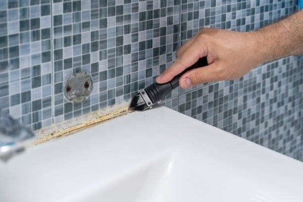 Best Mold Removal Process  in Denmark, WI